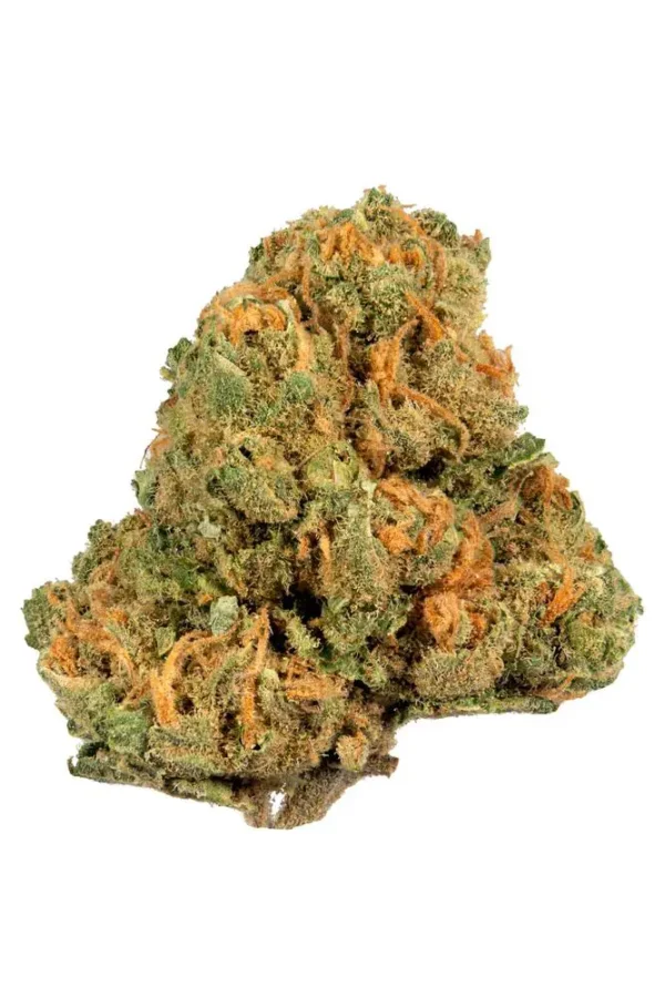 buy jack herer strain online UK, jack herer weed for sale, zaza weed strains, buy weed online paypal, can i buy weed without a card